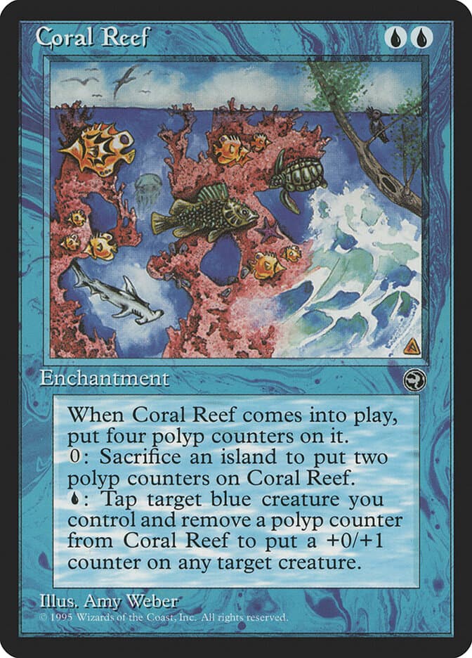Coral Reef — Homelands