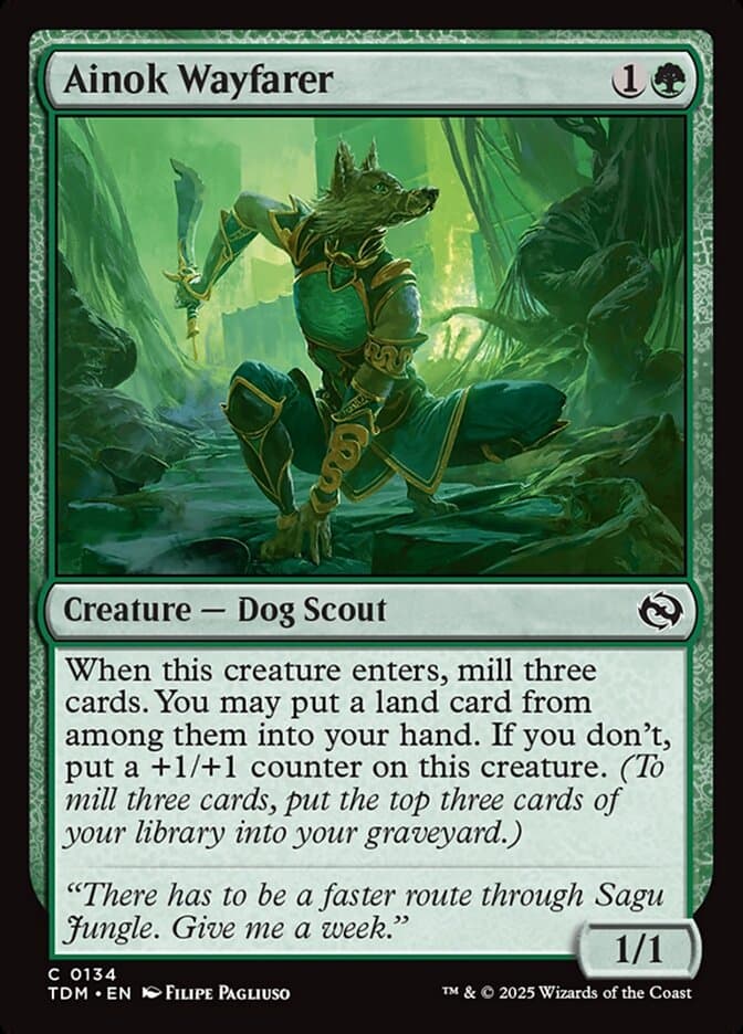 Ainok Wayfarer — Tarkir: Dragonstorm