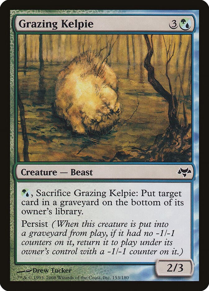 Grazing Kelpie — Eventide