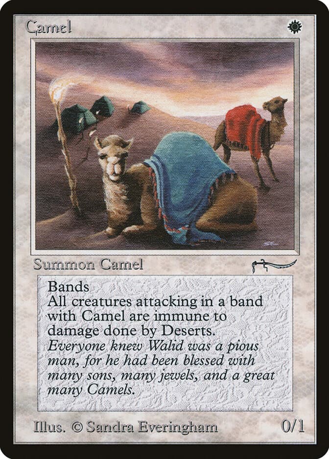Camel — Arabian Nights