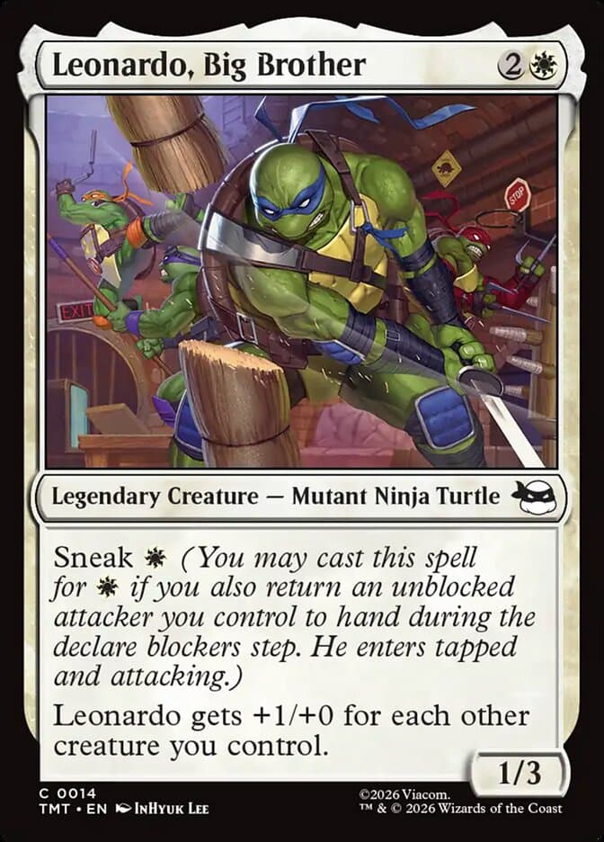Leonardo, Big Brother — Teenage Mutant Ninja Turtles